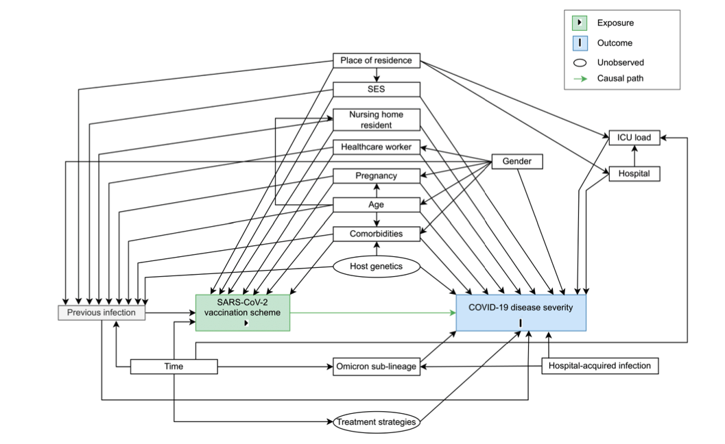 Homologous and Heterologous Prime-Boost Vaccination [Meurisse et al. 2022]